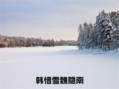 韩惜雪魏隐南（韩惜雪魏隐南）全文免费读无弹窗大结局_韩惜雪魏隐南免费韩惜雪魏隐南读无弹窗最新章节列表_笔趣阁