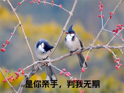 是你亲手，判我无期全网首发最新小说-沈初凝宋时宴全文在线免费阅读