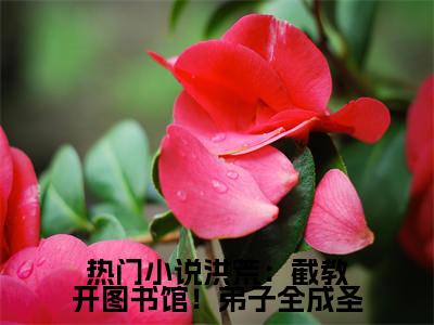  楚青通天(洪荒：截教开图书馆！弟子全成圣)小说免费阅读无弹窗完整版_(洪荒：截教开图书馆！弟子全成圣) 楚青通天最新章节列表笔趣阁（ 楚青通天）