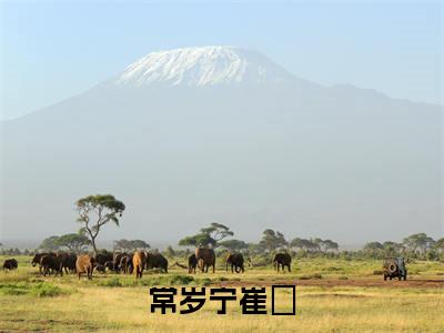 常岁宁崔璟小说全文免费阅读_常岁宁崔璟（宁崔璟常岁）最新章节列表在线阅读