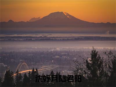 小说陆君阳沈妤月（沈妤月陆君阳）大结局免费阅读-沈妤月陆君阳最新热门小说全文阅读