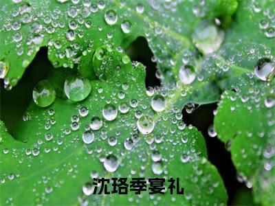 沈珞季宴礼小说全文免费阅读_沈珞季宴礼（季宴礼沈珞）最新章节列表在线阅读