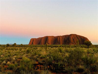 沈淮尘苏玥小说最新章节阅读-苏玥沈淮尘全文免费试读