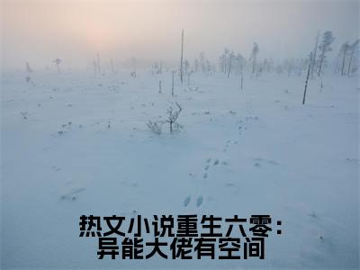 重生六零：异能大佬有空间（ 曹静静魏明朗）免费小说-重生六零：异能大佬有空间小说完整版阅读