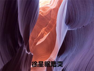 徐星眠陆奕是什么小说-陆奕徐星眠免费小说在线阅读