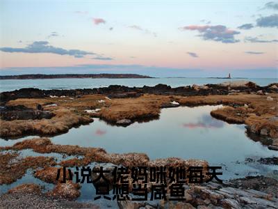  沈若京楚辞琛免费小说-大佬妈咪她每天只想当咸鱼小说完整版阅读