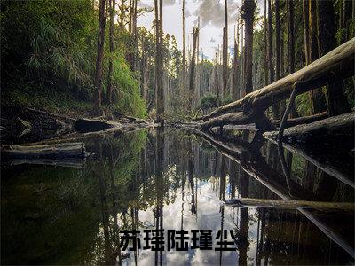 苏瑶陆瑾尘（陆瑾尘苏瑶）全文免费完结版阅读_（陆瑾尘苏瑶）苏瑶陆瑾尘最新章节列表笔趣阁（陆瑾尘苏瑶）