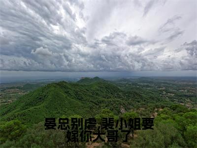 晏总别虐,裴小姐要嫁你大哥了(裴知夏晏漠寒)免费全文阅读小说_（晏总别虐,裴小姐要嫁你大哥了）裴知夏晏漠寒最新章节列表-笔趣阁（晏总别虐,裴小姐要嫁你大哥了）