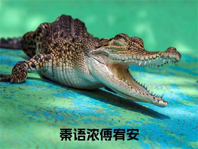 （傅宥安秦语浓小说完整版）秦语浓傅宥安全文免费阅读-（秦语浓傅宥安）傅宥安秦语浓小说最新章节列表