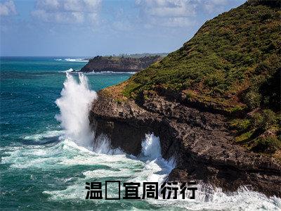 周衍行温婳宜抖音完结版阅读《温婳宜周衍行》最新章节目录好书推荐_(周衍行温婳宜)