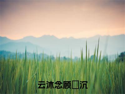 顾璟沉云沐念的小说免费阅读言情小说《云沐念顾璟沉》全文-云沐念顾璟沉的小说免费阅读小说无弹窗阅读