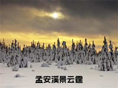 孟安溪景云霆（景云霆孟安溪）小说全文免费_孟安溪景云霆小说（景云霆孟安溪）最新章节目录笔趣阁（孟安溪景云霆）