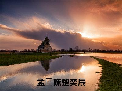 孟珺姝楚奕辰（楚奕辰孟珺姝精彩美文）免费阅读-小说楚奕辰孟珺姝最后结局如何