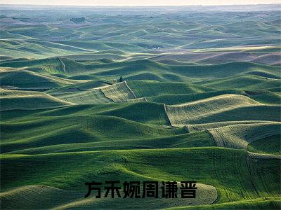 方禾婉周谦晋小说最新章节（周谦晋方禾婉）全文免费阅读无弹窗大结局_周谦晋方禾婉免费阅读（方禾婉周谦晋小说）