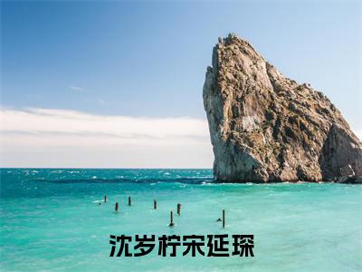 沈岁柠宋延琛（沈岁柠宋延琛）小说全文无删减版完整版_ 沈岁柠宋延琛最新章节列表_笔趣阁