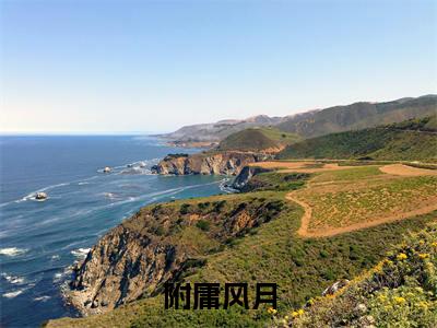 附庸风月（夏绯向钧）全文免费阅读无弹窗大结局_（附庸风月）附庸风月最新章节列表_笔趣阁（附庸风月）