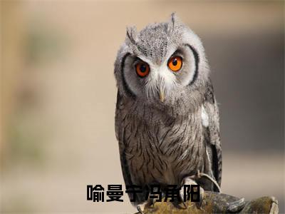 喻曼宁冯承阳(喻曼宁冯承阳小说)全文免费阅读无弹窗大结局_(喻曼宁冯承阳小说免费阅读全文大结局)最新章节列表_笔趣阁（喻曼宁冯承阳小说）