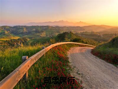 司念席衍（席衍司念）全文免费阅读无弹窗大结局_司念席衍（席衍司念）全文阅读_笔趣阁