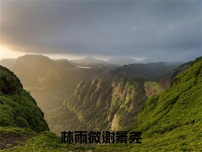 林雨微谢景尧小说免费阅读（谢景尧林雨微）全文免费阅读大结局-（林雨微谢景尧小说免费阅读）好书推荐