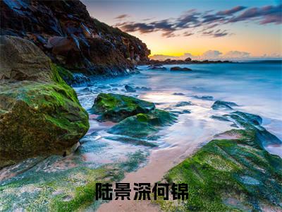 陆景深何锦何锦陆景深完整全文在线阅读 何锦陆景深抖音热推小说全集无删减