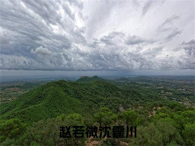 沈霆川赵若微小说免费（赵若微沈霆川免费阅读）赵若微沈霆川全文免费阅读无弹窗大结局_沈霆川赵若微小说最新章节列表（赵若微沈霆川）