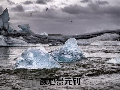 颜心景元钊（景元钊颜心）全文免费阅读无弹窗大结局_颜心景元钊最新章节列表（景元钊颜心）