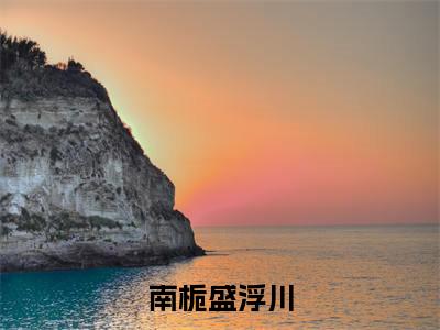 小说南栀盛浮川免费在线阅读-小说主角叫盛浮川南栀的小说完整版免费读全文