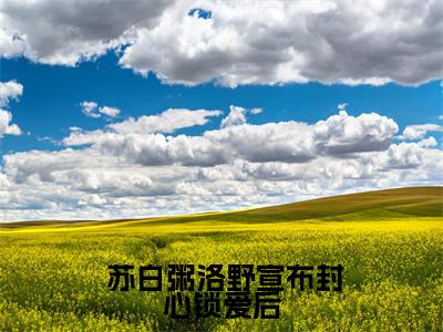  苏白粥洛野全文免费阅读无弹窗大结局_宣布封心锁爱后，我遇上了心动对象章节列表_笔趣阁