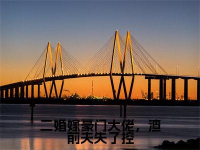 二婚嫁豪门大佬，渣前夫失了控（傅南琛余安安小说）全文免费阅读无弹窗大结局_二婚嫁豪门大佬，渣前夫失了控最新章节列表笔趣阁（傅南琛余安安）