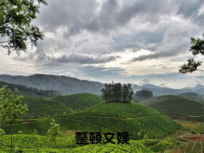 整顿文娱沈哲全文免费阅读无弹窗大结局_（沈哲）最新章节列表_笔趣阁（整顿文娱小说）