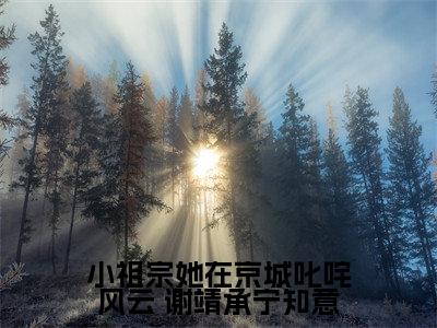 小祖宗她在京城叱咤风云全文免费阅读_ 谢靖承宁知意（小祖宗她在京城叱咤风云）小说在线阅读最新章节列表笔趣阁