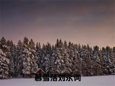 慕雪落刘永询（刘永询慕雪落）新上热文小说讲的是什么-小说慕雪落刘永询（刘永询慕雪落）全文免费阅读