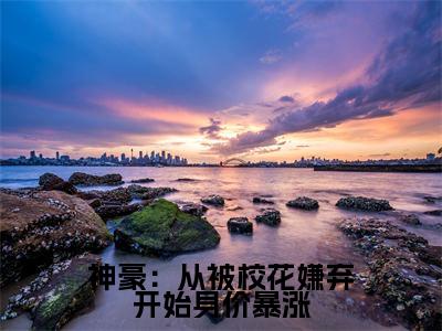 神豪：从被校花嫌弃开始身价暴涨( 陈凡赵琳琳)小说全文免费阅读无弹窗大结局_神豪：从被校花嫌弃开始身价暴涨最新章节列表