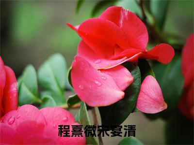 宋宴清程熹微小说（程熹微宋宴清小说）全文免费阅读无弹窗大结局_(宋宴清程熹微小说免费阅读)程熹微宋宴清小说无弹窗最新章节列表_笔趣阁（宋宴清程熹微小说）