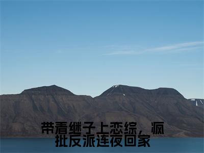 带着继子上恋综，疯批反派连夜回家（傅君恒宋浅浅）全文免费阅读无弹窗大结局_(带着继子上恋综，疯批反派连夜回家)傅君恒宋浅浅免费阅读无弹窗最新章节列表_笔趣阁（傅君恒宋浅浅）