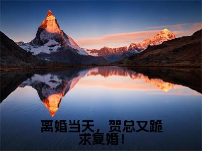 经典小说离婚当天，贺总又跪求复婚！无广告小说免费阅读  姜若贺深全章节免费阅读