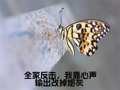 陆灵儿陆重耀（全家反击，我靠心声输出改掉炮灰 ）女生必看小说全集_全家反击，我靠心声输出改掉炮灰 （陆灵儿陆重耀）全文免费阅读