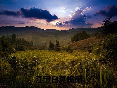 夏栀雨江宁白最新完结免费阅读-江宁白夏栀雨悬疑小说在线阅读