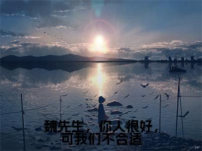 魏先生，你人很好，可我们不合适抖音热推小说全集无删减许新楠魏行舟最新章节列表免费阅读_（魏先生，你人很好，可我们不合适）最新章节列表笔趣阁