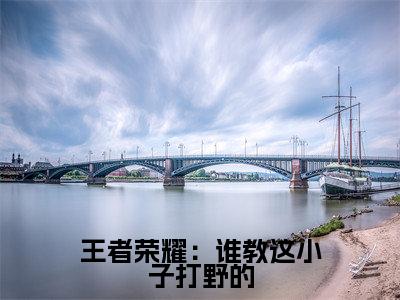 王者荣耀：谁教这小子打野的（江南）全文免费阅读无弹窗大结局_（江南）王者荣耀：谁教这小子打野的全文最新章节列表（江南）