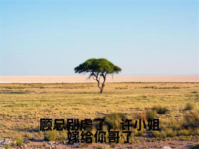 顾总别虐了，许小姐嫁给你哥了小说（许妍顾臣彦）全文免费阅读无弹窗大结局_顾总别虐了，许小姐嫁给你哥了全文免费完结版阅读（许妍顾臣彦）