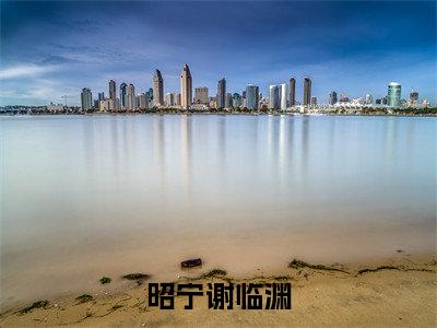 昭宁谢临渊全文小说（谢临渊昭宁）-完结版热文谢临渊昭宁（昭宁谢临渊）小说免费阅读