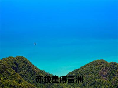 傅言洲苏挽星（苏挽星傅言洲）全文无弹窗大结局_傅言洲苏挽星小说最新章节列表