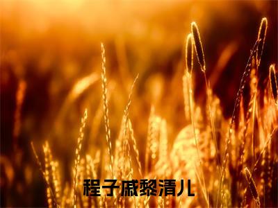 程子戚黎清儿（程子戚黎清儿）全文免费阅读无弹窗大结局-程子戚黎清儿最新章节列表-笔趣阁