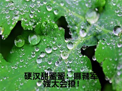 硬汉甜蜜蜜：麻辣军嫂太会撩！（桑枝门少庭）小说在线阅读_硬汉甜蜜蜜：麻辣军嫂太会撩！全本免费小说阅读（桑枝门少庭）
