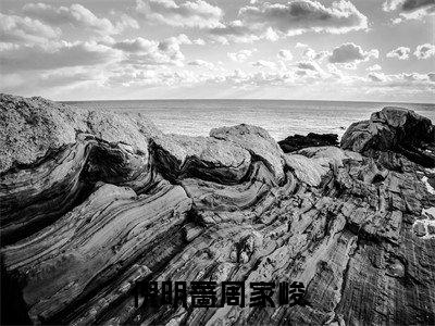 倪明蔷周家峻全文无弹窗阅读 周家峻倪明蔷大结局全文免费