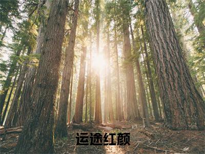  秦志勇秦天明精彩小说-运途红颜全章节免费阅读