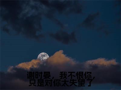 谢时晏柳朝意（谢时晏，我不恨你，只是对你太失望了最新全章节大结局）全文阅读-谢时晏柳朝意谢时晏，我不恨你，只是对你太失望了在线小说免费阅读