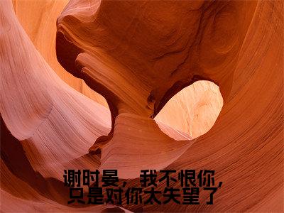 小说《谢时晏，我不恨你，只是对你太失望了》全文免费阅读无弹窗-谢时晏柳朝意小说全文在线赏析_笔趣阁