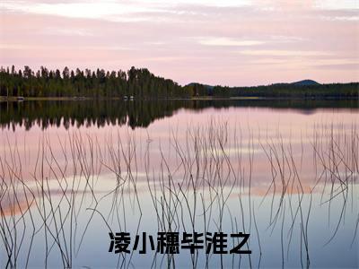 毕淮之凌小穗（凌小穗毕淮之）全文免费阅读无弹窗大结局_凌小穗毕淮之小说最新章节列表_笔趣阁（毕淮之凌小穗）